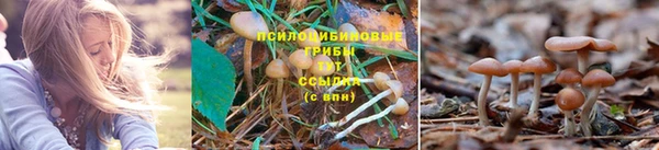 наркотики Михайловка