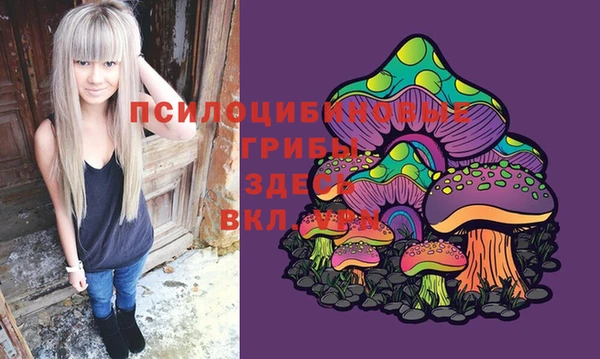марки lsd Михайлов