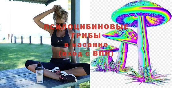 марки lsd Михайлов