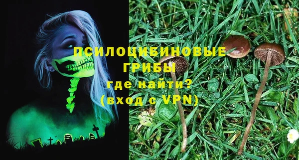 ПСИЛОЦИБИНОВЫЕ ГРИБЫ Ханты-Мансийск