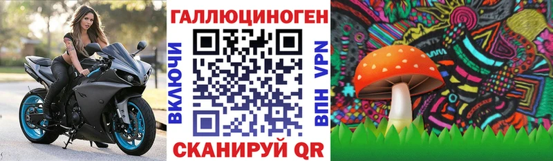Псилоцибиновые грибы GOLDEN TEACHER  купить  сайты  блэк спрут зеркало  Урус-Мартан 